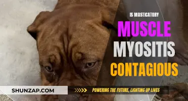Masticatory Muscle Myositis: Is It Contagious and Spreading?