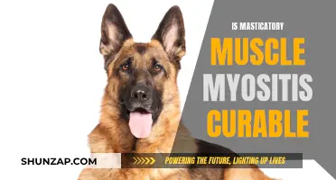 Can Masticatory Muscle Myositis Be Cured?