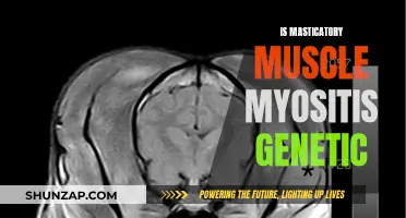 Chewing the Facts: Masticatory Muscle Myositis and Its Genetic Roots