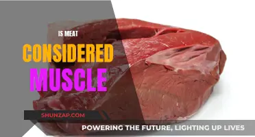 Muscle or Meat: What's the Difference?