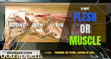Meat: Muscle or Flesh? Understanding the Difference