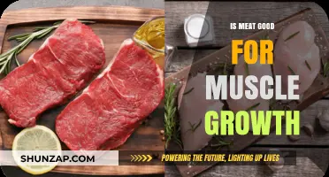 Is Meat Essential for Muscle Growth? Uncovering the Protein Truth