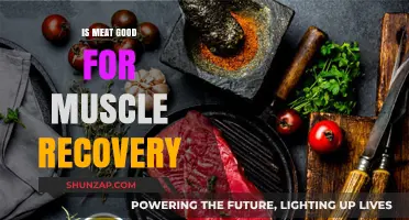 Meat's Role in Muscle Recovery: Benefits, Myths, and Best Practices