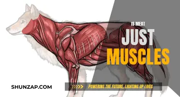 Meat: Beyond Muscles, a Complex Tissue