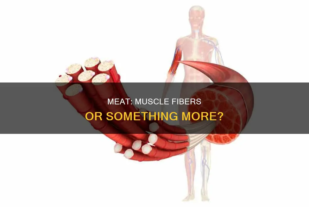 is meat muscle fibers