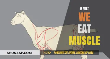 Meat We Eat: Is It Muscle or Something Else?