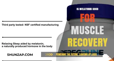 Melatonin's Role in Muscle Recovery: Benefits and Scientific Insights