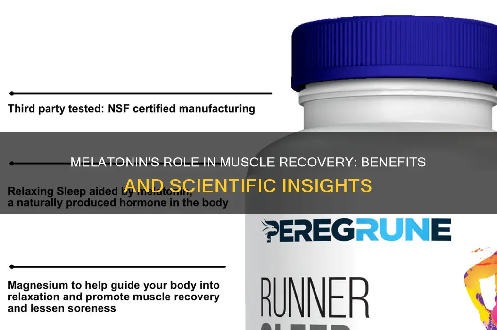 is melatonin good for muscle recovery