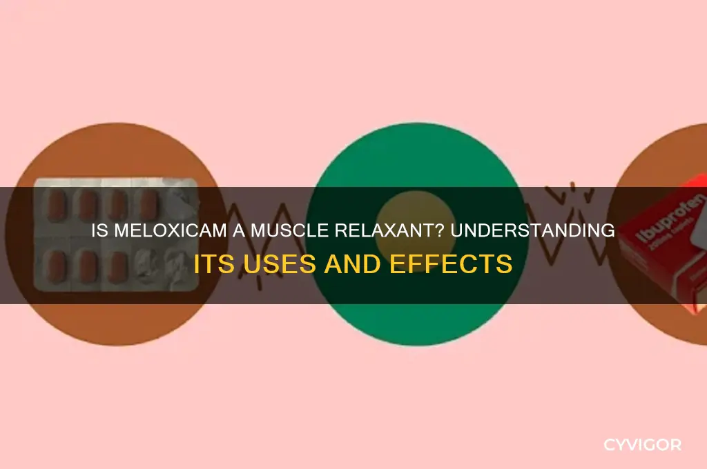 is meloxicam a muscle relaxant