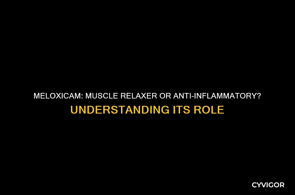 is meloxicam a muscle relaxer or anti-inflammatory