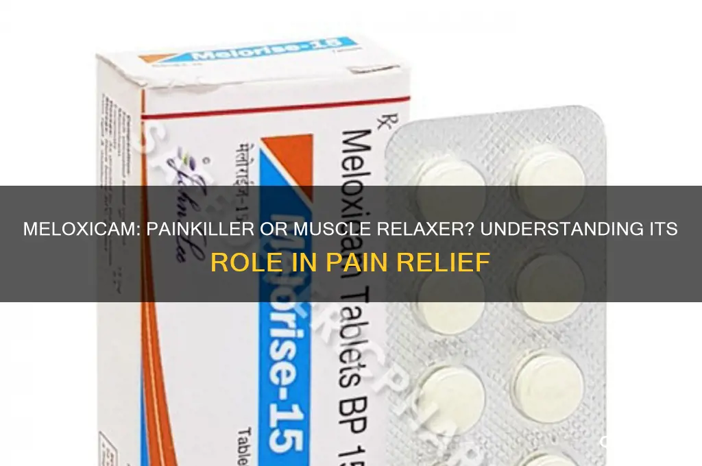 is meloxicam a painkiller or muscle relaxer