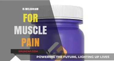 Meloxicam for Muscle Pain: Benefits, Risks, and Effectiveness Explained