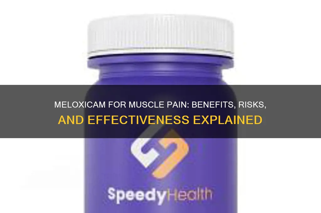 is meloxicam for muscle pain