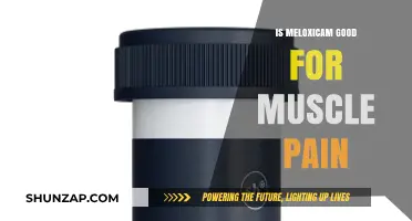 Is Meloxicam Effective for Muscle Pain? Benefits and Considerations