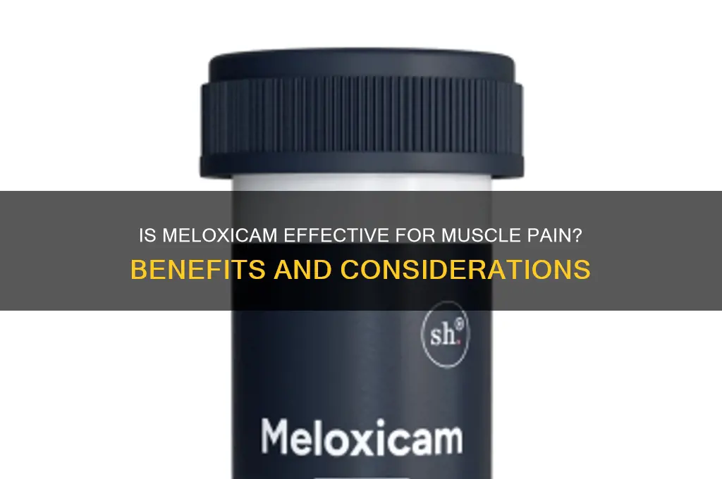 is meloxicam good for muscle pain