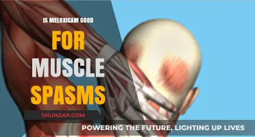 Meloxicam for Muscle Spasms: Benefits, Effectiveness, and Safety Explained