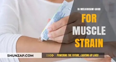 Meloxicam for Muscle Strain: Benefits, Risks, and Effectiveness Explained