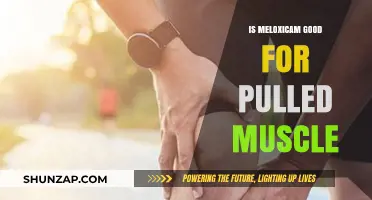 Meloxicam for Pulled Muscles: Benefits, Risks, and Effectiveness Explained