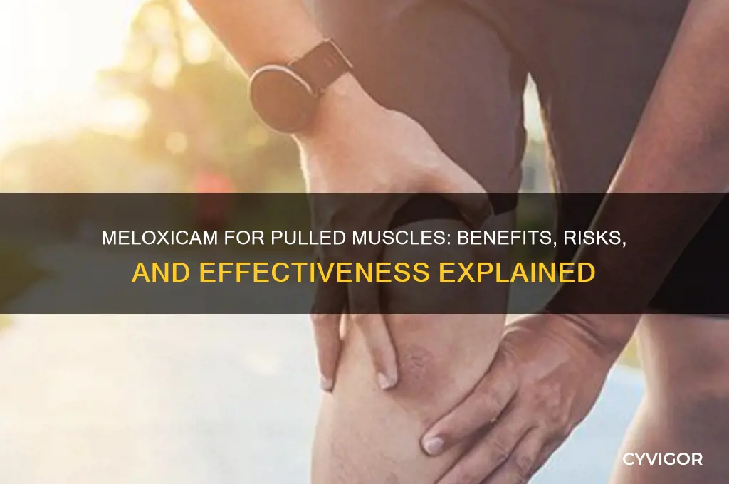 is meloxicam good for pulled muscle