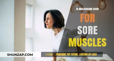 Meloxicam for Muscle Pain: Effective Relief or Risky Choice?