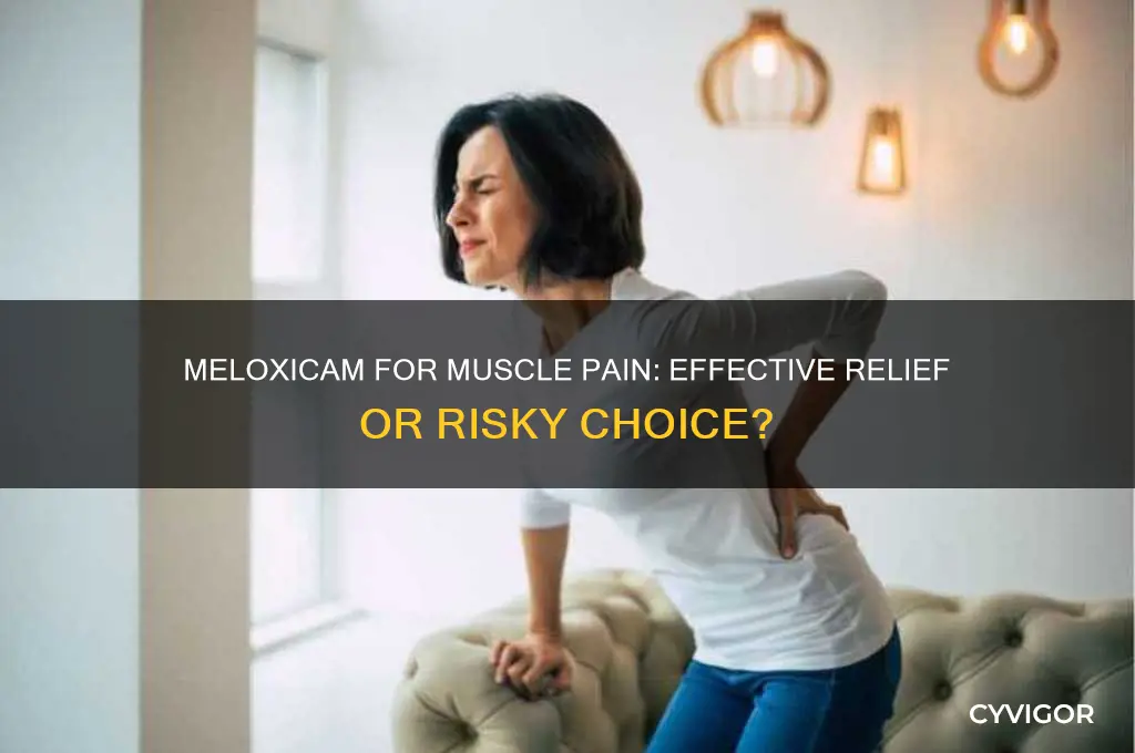 is meloxicam good for sore muscles