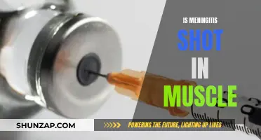 Meningitis Vaccine: Intramuscular Injection Explained