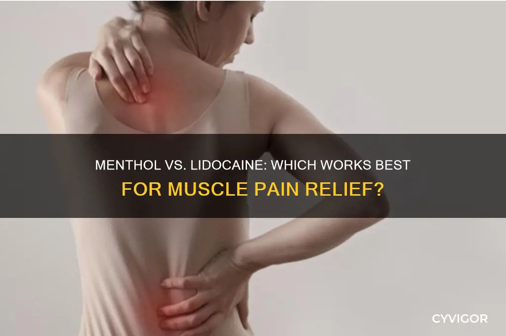 is menthol or lidocaine better for muscle pain
