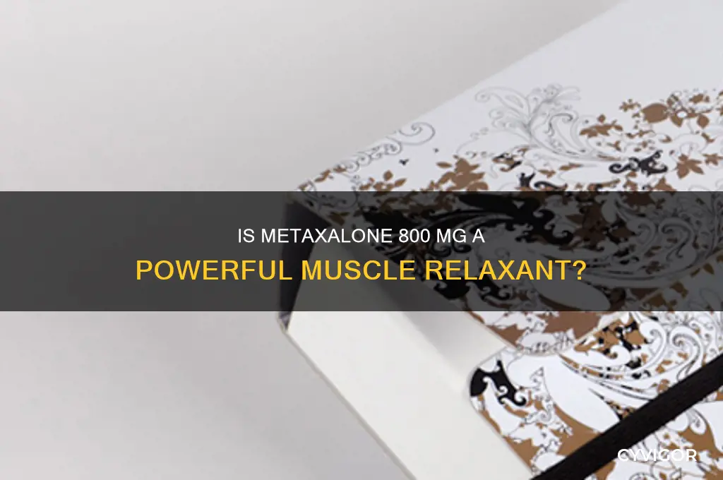 is metaxalone 800 mg a strong muscle relaxant