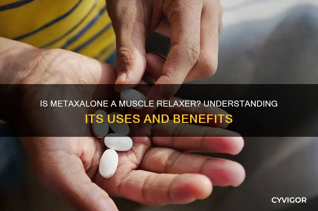 is metaxalone a muscle relaxer