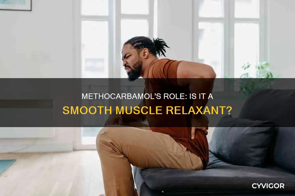 is methocarbamol a smooth muscle relaxant