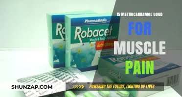 Is Methocarbamol Effective for Muscle Pain Relief? A Comprehensive Review