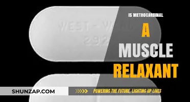 Is Methocarbamol a Muscle Relaxant? Exploring Its Uses and Effects