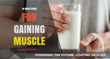Milk and Muscle Gain: Unlocking the Truth for Fitness Enthusiasts