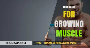 Milk and Muscle Growth: Unlocking the Benefits for Strength Training