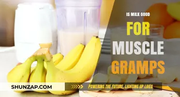Milk and Muscle Cramps: Benefits, Myths, and Effective Recovery Tips