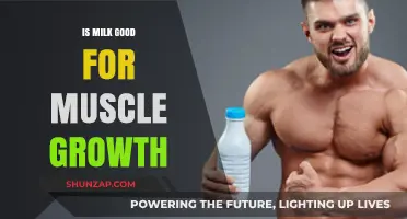 Milk and Muscle Growth: Unlocking the Benefits for Strength Training