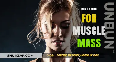 Milk and Muscle Mass: Unlocking the Truth for Strength Gains
