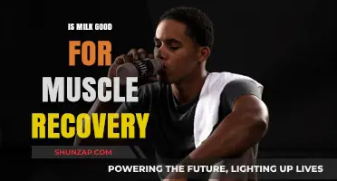 Milk and Muscle Recovery: Unlocking Post-Workout Benefits and Myths