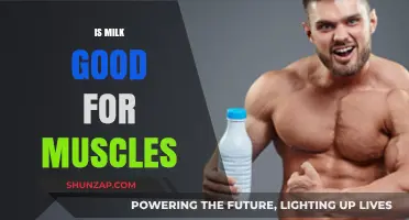 Milk and Muscle Growth: Unlocking the Benefits for Strength and Recovery