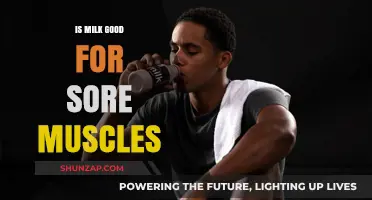 Milk for Muscle Recovery: Does It Soothe Sore Muscles?