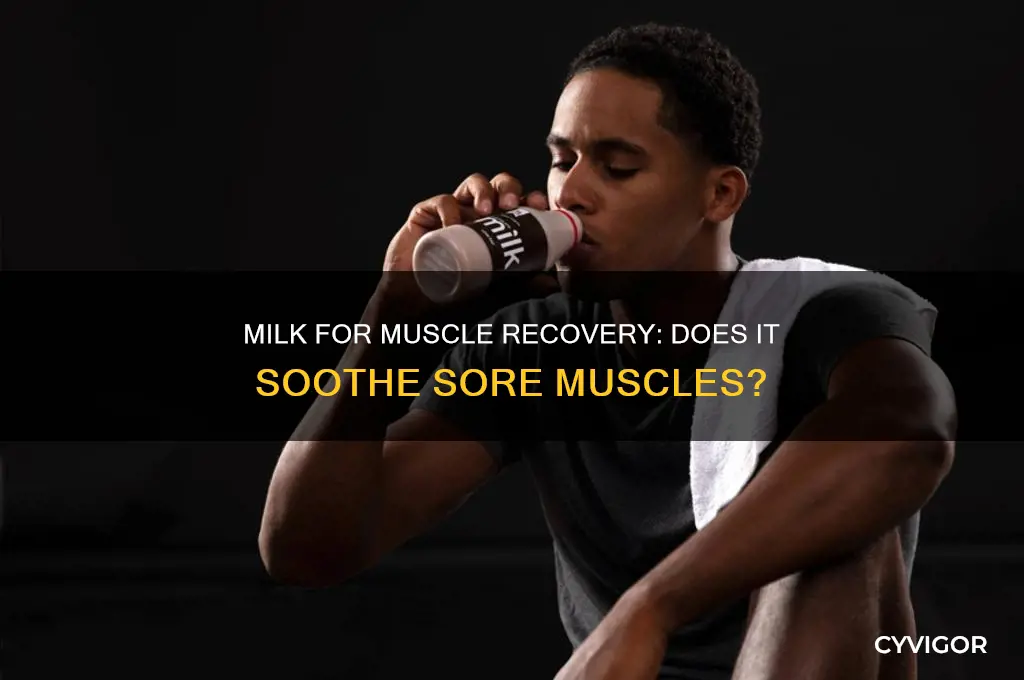 is milk good for sore muscles