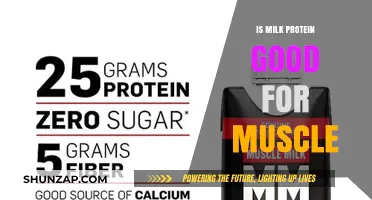 Milk Protein Benefits: Boosting Muscle Growth and Recovery Effectively