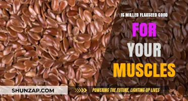 Milled Flaxseed Benefits: Boosting Muscle Health and Recovery Naturally