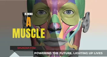 Mind as Muscle: Training the Brain for Strength