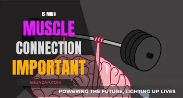 Mind-Muscle Connection: Is It Worth the Hype?