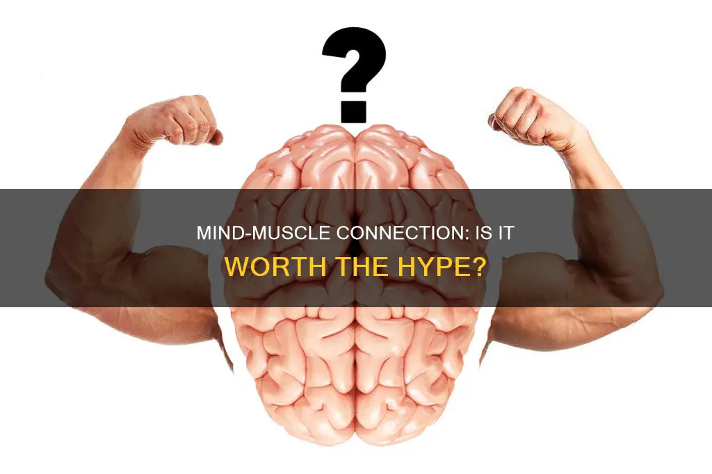 is mind muscle connection important