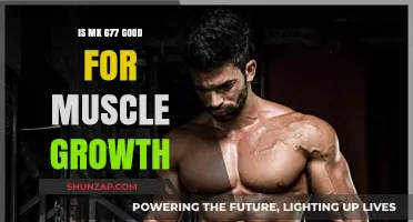 MK 677 for Muscle Growth: Benefits, Risks, and Results
