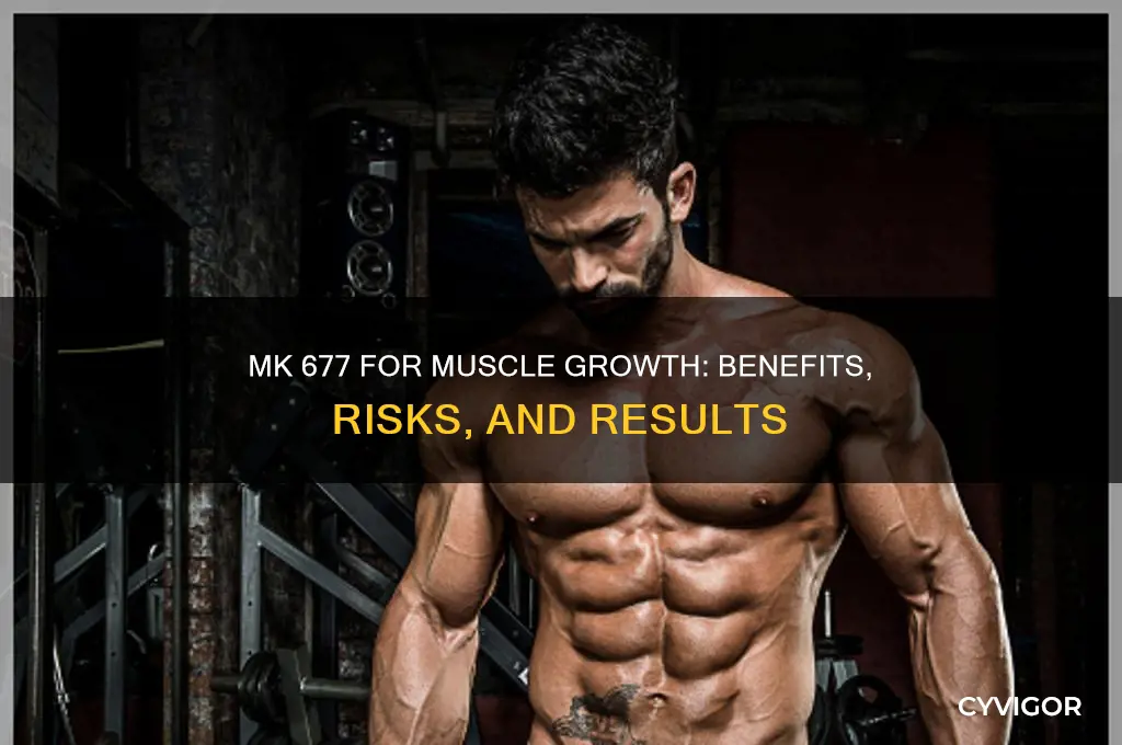 is mk 677 good for muscle growth