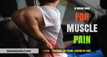Is Mobic Effective for Muscle Pain? Benefits and Considerations Explained