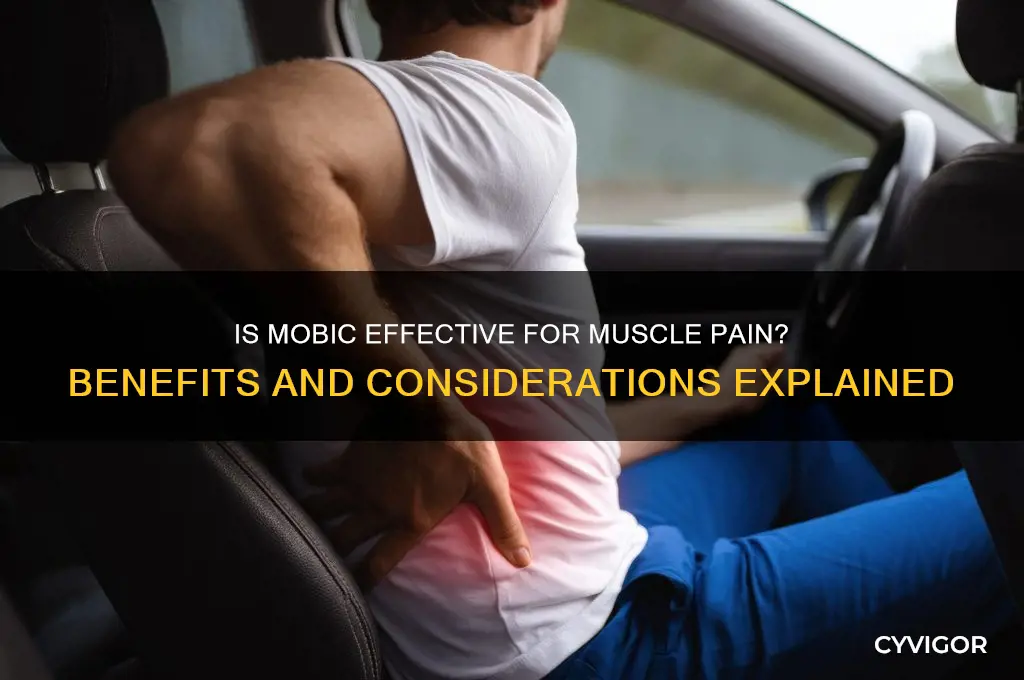 is mobic good for muscle pain